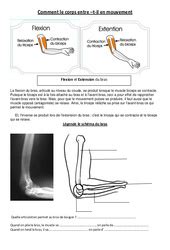 Exercice Les Mouvements Corporels Muscles Et Squelette 4eme Primaire