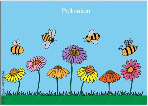 Diagram Showing Pollination With Bee And Flowers Vector Image Hot Sex Picture