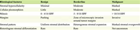 An Algorithm For Differentiating Between Benign Borderline And Download Scientific Diagram