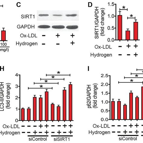 Ox LDL Induced Inflammatory Cytokine Expression In RAW264 7 Cells The