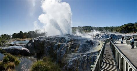 Te Puia Te Rā Guided Tour Day Experience GetYourGuide