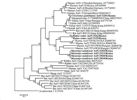 Ml Tree Based On 315 Nt Partial Rdrp Gene Of Astroviruses