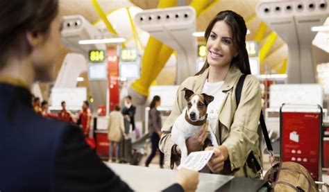 Como Viajar O Pet Blog Da Maxmilhas