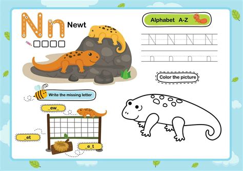 Alphabet Letter N Newt Exercise With Cartoon Vocabulary Illustration