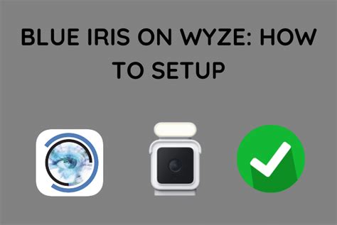 Blue Iris On Wyze How To Setup 2023 Blinqblinq