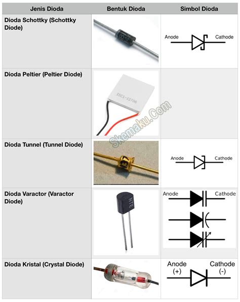 Jenis Jenis Dioda Dan Fungsi Dioda Pada Rangkaian Elektronika Porn Sex Picture