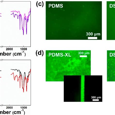 A Atrft Ir Spectra Of Pristine Pdms And Ds B Atrft Ir Spectra Of