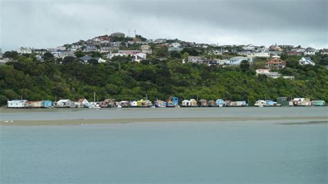 Search Results » Porirua Harbour Trust