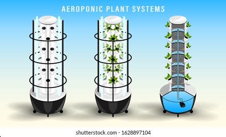 Vertical Aeroponic Plant Growth System Vegetables Stock Vector Royalty