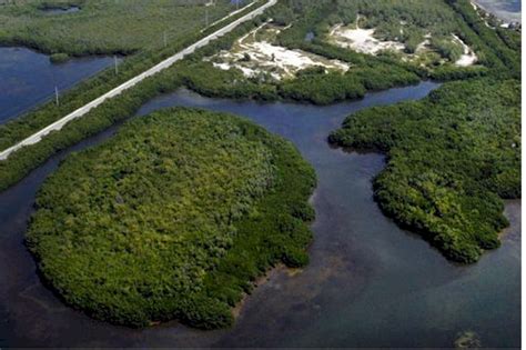 Florida Keys Island - Florida, United States - Private Islands for Sale