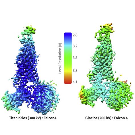 Evolving Cryo Em Structural Approaches For Gpcr Drug Discovery Structure