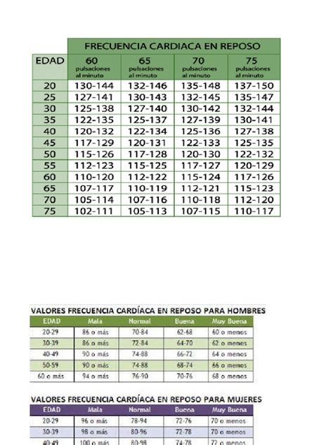 Frecuencia Cardiaca Maxima Pdf