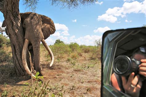 Reisebericht Kenia Im Dezember 2020 Endlich Wieder Auf Tour Endlich Wieder Afrika Diamir