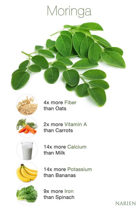 7 Awesome Moringa Benefits For Men Artofit