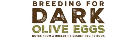 How To Breed Olive Eggers With Egg Chick Pictures Silver Homestead