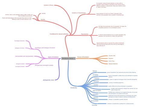 Workbook Theme 1 Coggle Diagram