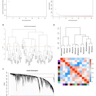 Construction Of Weighted Gene Co Expression Network A Analysis Of