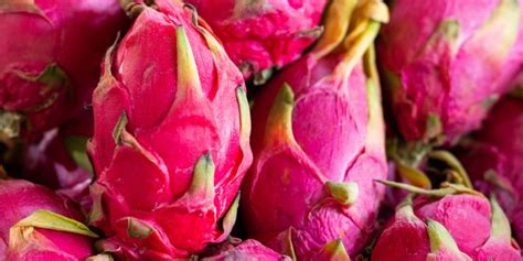 Pitaya O Que é Para Que Serve e Como Comer Quero Saúde