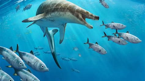 Spesies Mosasaurus Monster Laut Zaman Purba Yang Punya Gigi Setajam