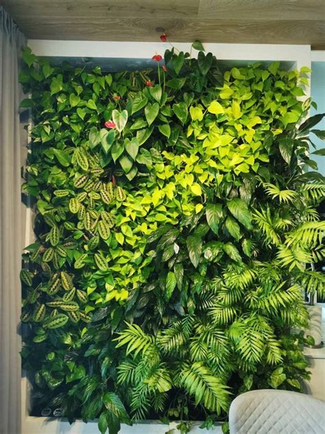 Indoor Plant Wall Indoor Garden Indoor Plants Jardin Vertical