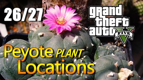 Gta 5 Peyote Plant Locations [26 27] Youtube