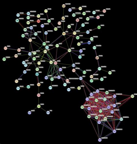 Protein Protein Interaction Network Of Genes Significantly Enriched For