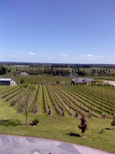 Winery Vineyard Australian Wine D Angelo Estate Wines