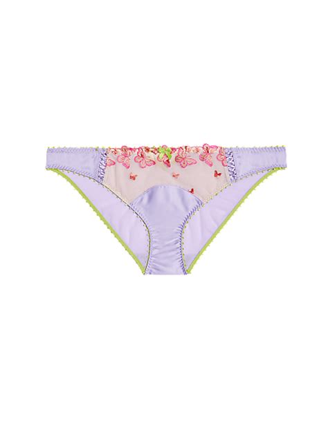 Buy Aurelia Embroidery Bikini Knickers At Marks Spencer