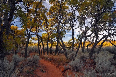 Hop Valley Trail Photos Joes Guide To Zion National Park