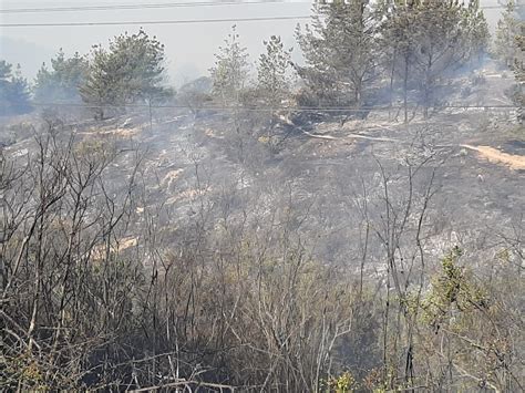 Onemi Informa Que Incendio De Quintero Y Quillota Está Controlado