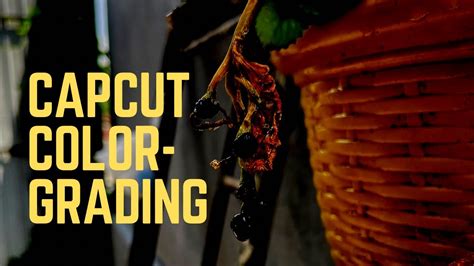 Capcut Color Grading How To Color Grade With CapCut YouTube