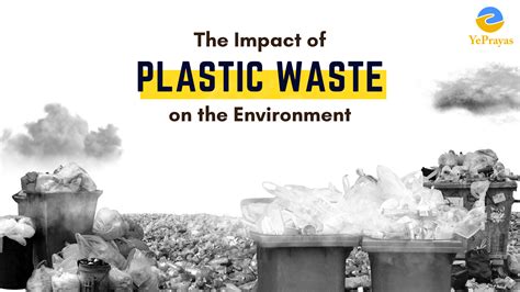 The Impact of Plastic Waste on the Environment