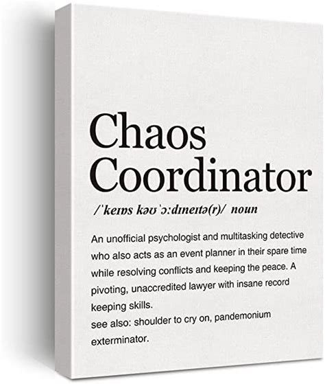 A Book With The Title Chaos Coordinater Written In Black And White On