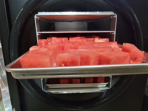 Freeze-Dried Watermelon – reThinkSurvival.com