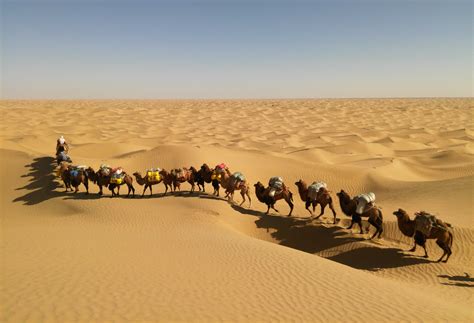 taklamakan desert in khotan 3 - Silkroad-Expeditions Xinjiang China Travel Service