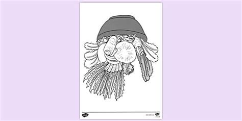 FREE Arcimboldo Representation Colouring Sheet Twinkl