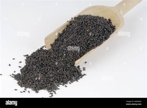 Black Sesame Schwarzer Sesam Stock Photo Alamy