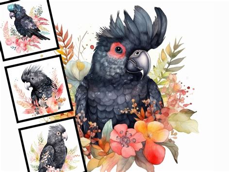 6 Watercolor Black Cockatoo Illustration Nursery Art Commercial Use ...