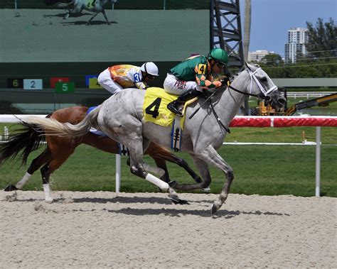 Gulfstream Park (@GulfstreamPark) / Twitter