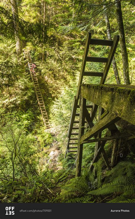 Backpacker Climbing Ladders While Hiking Along West Coast Trail