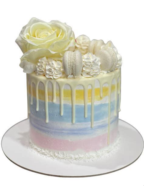 Celebration Time Last Minute Cake Sugar Whipped Cakes Website