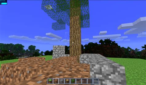 Minecraft Grass Block Bottom