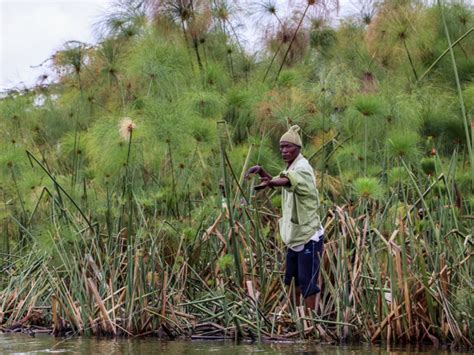 Lac Naivasha Une Faune Abondante Dans Le Lac Et Sur Les Rives