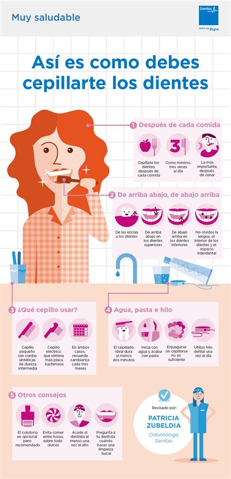 Cómo Cepillarse Los Dientes Correctamente Infografías Y Remedios