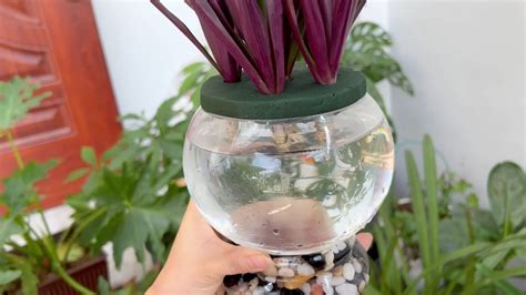 Эффектный способ размножать комнатные растения в стеклянной колбе