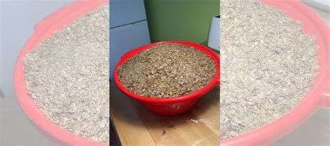 Комбикорм купить в Екатеринбурге | Животные и зоотовары | Авито