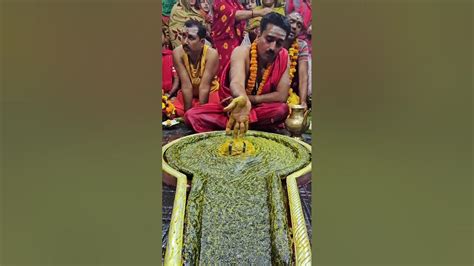 Jai Shiv Jai Baba Baidyanath 🙏 🕉 आज का प्रातः कलिन सरदारी पूजा जय शिव