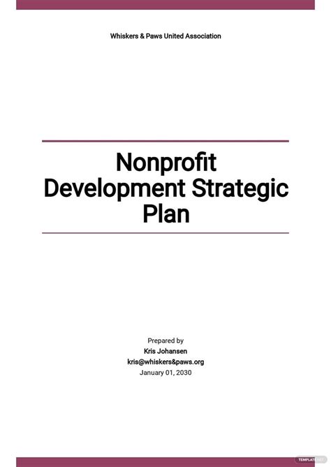 Nonprofit Strategic Plan Template Google Docs Word Apple Pages