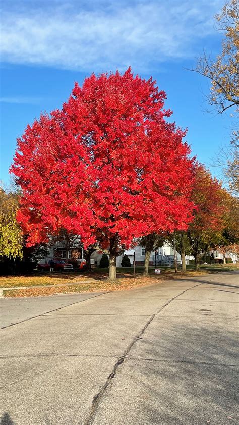 New bike lanes will soon be built throughout fairview park ohio