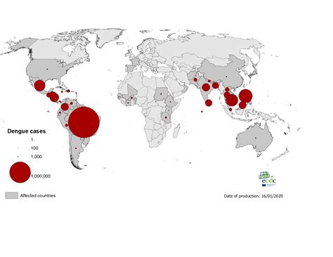 Dengue Fever Distribution Map